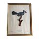 Gravure sous verre « Geai bleu »
