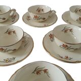 Saverne Céranord Saint Amand Semi Vitrified Tea Service 12 Pieces 1960s