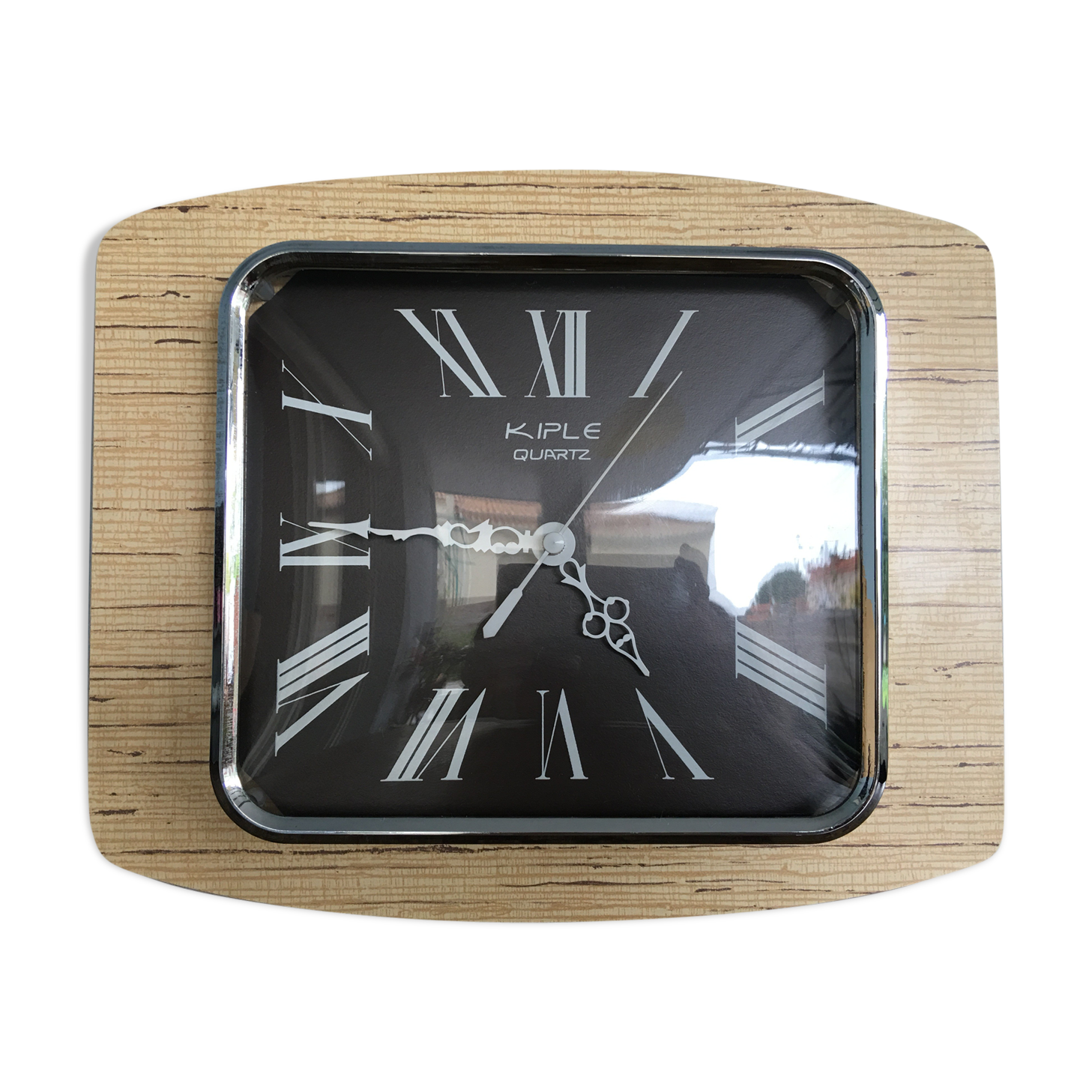 Pendulum formica Kiple, 1970