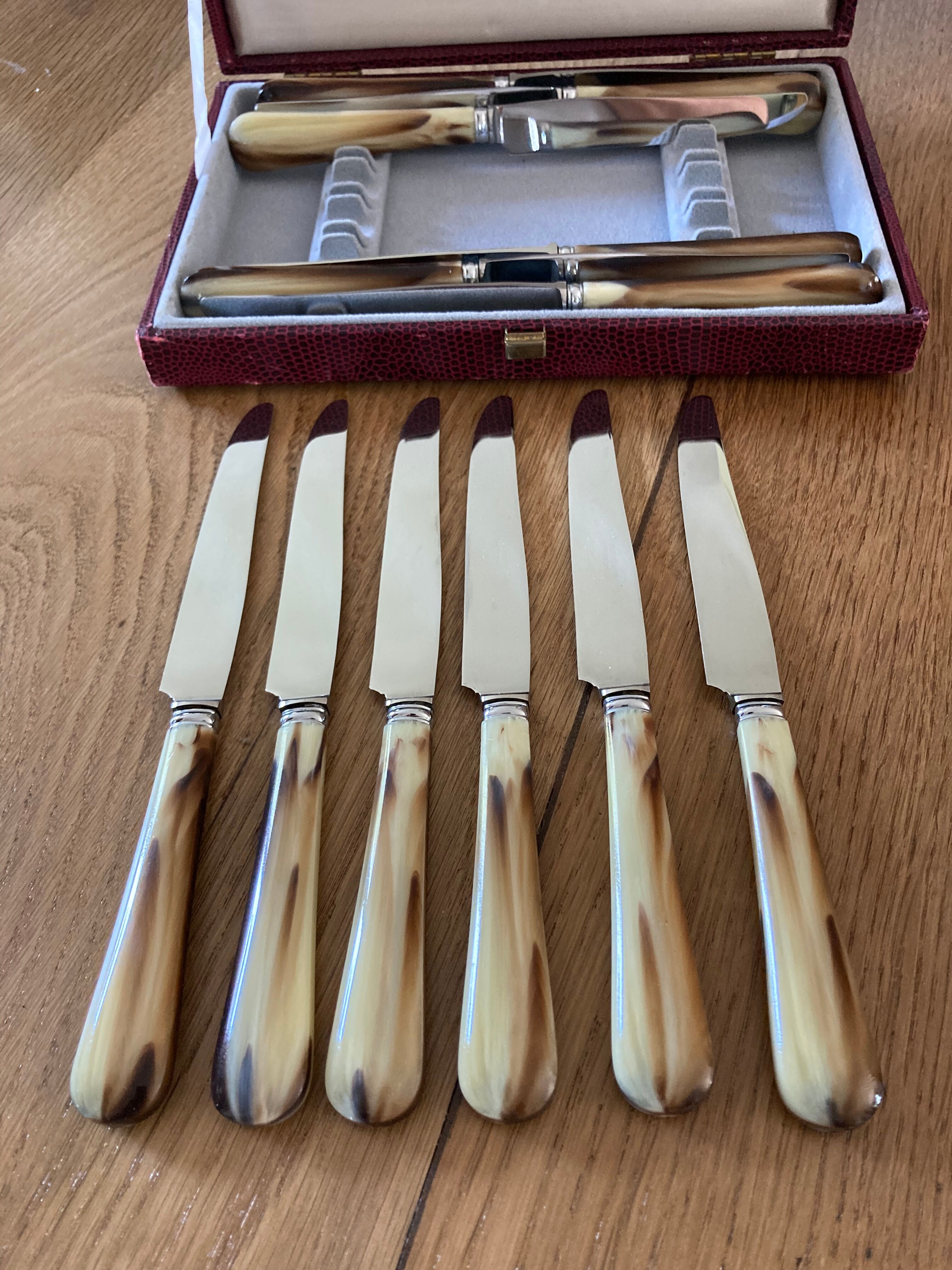Case of 12 dessert knives