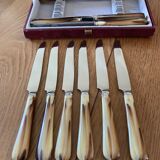 Case of 12 dessert knives
