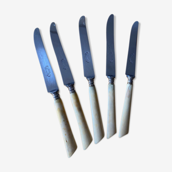 5 dessert knives handle