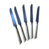 5 dessert knives handle