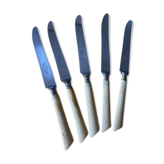 5 dessert knives handle