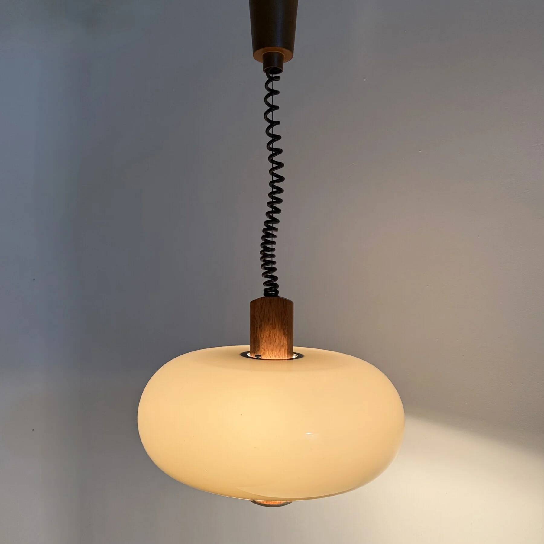 Mid-century space age pendant lamp Temde Leuchten, 1970s Germany