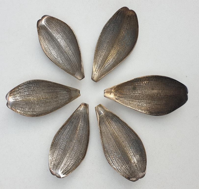 Set of 6 petals brass display