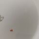 Salad bowl and vegetable Robert Haviland & Le Tanneur
