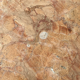 Dining table in vintage alicante red marble