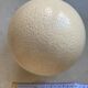 Ostrich egg from South Africa, base