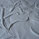 large old sheet imposing monogram PB iris decoration