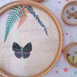 Plateau and 13 vintage butterfly and rattan coasters to be diverted into decorative elements