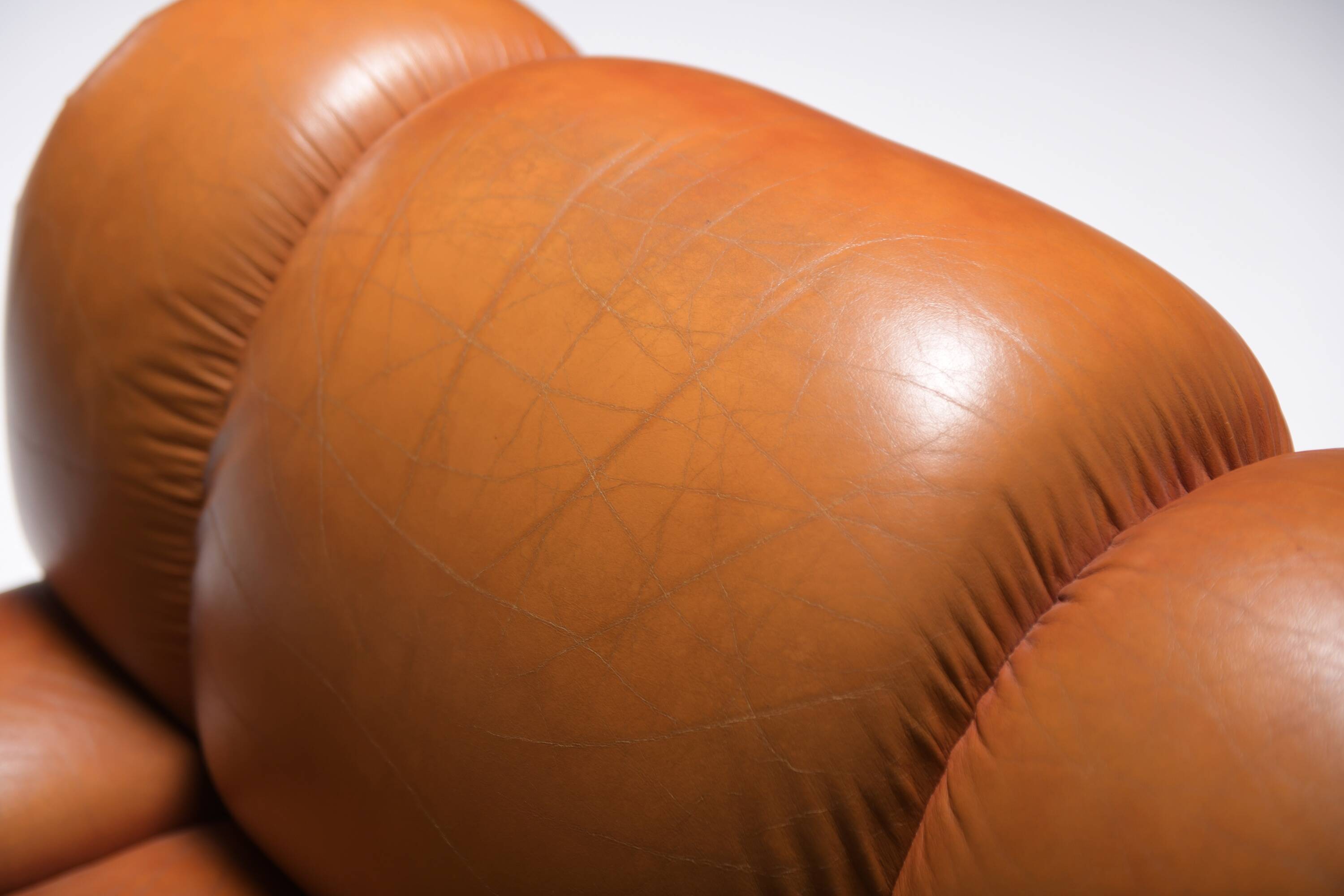 Velasquez Vintage Lounge Chair in Cognac Leather by Mimo Padova Italy