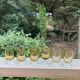 Lot de 6 verres à liqueur années 70