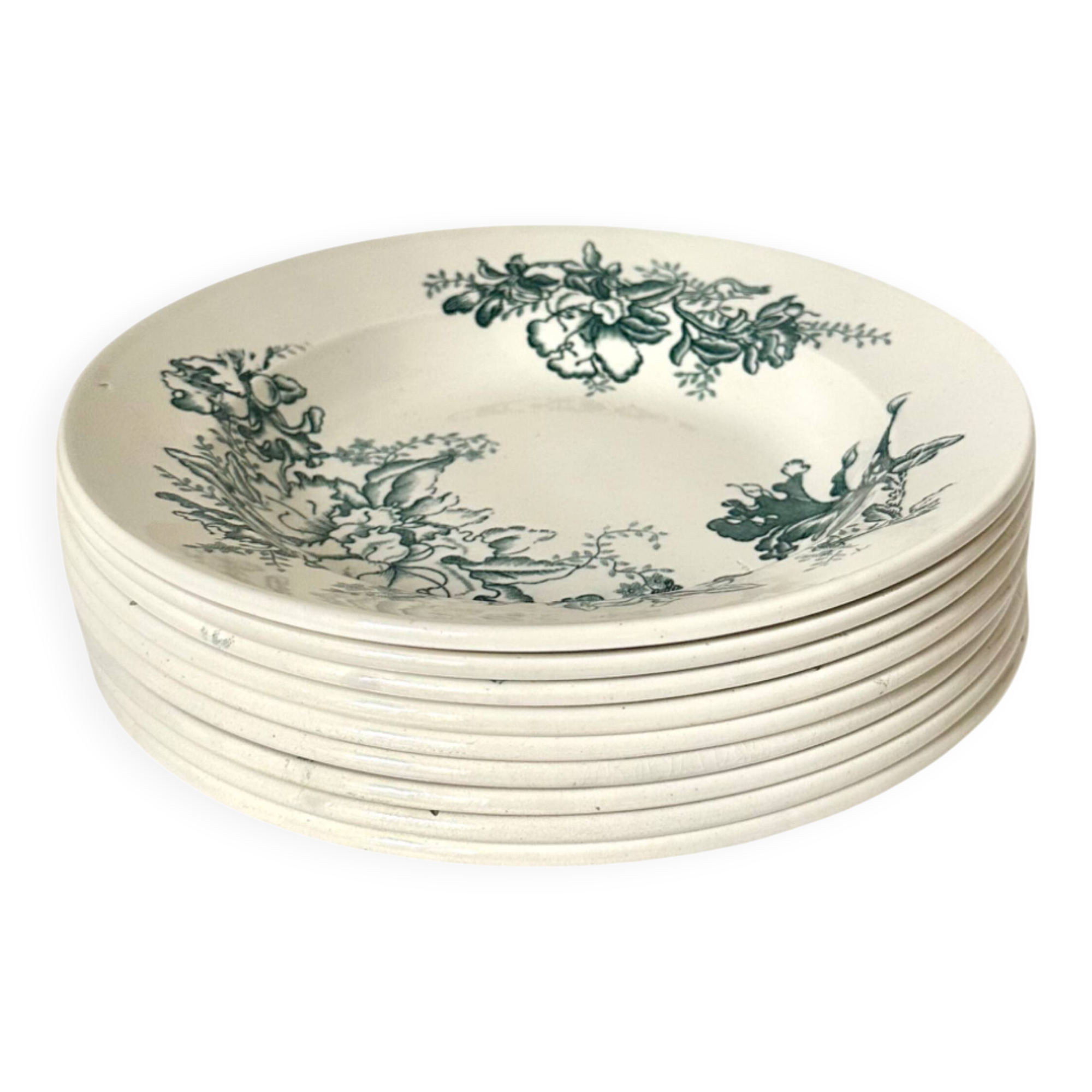 Set of nine deep plates in Givors earthenware, "Floreal" model.