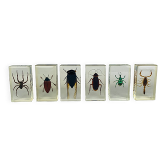 Set of 6 insect inclusions resin