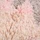 Vintage Boujaad Rug 160 x 262 cm - Berber Wool Rug - Moroccan Rug Handmade