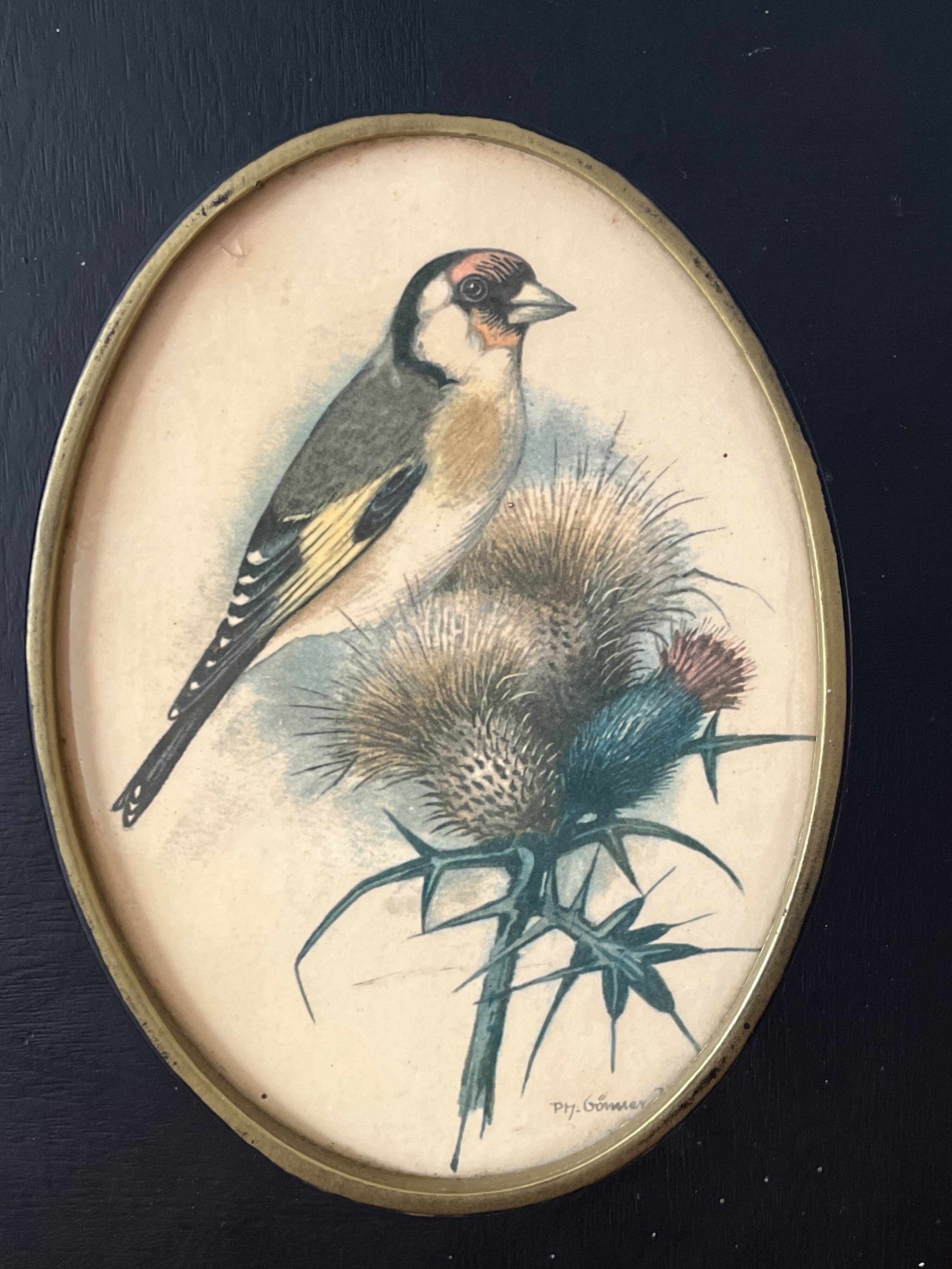 Former naturalist Ph Gonner