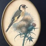 Former naturalist Ph Gonner