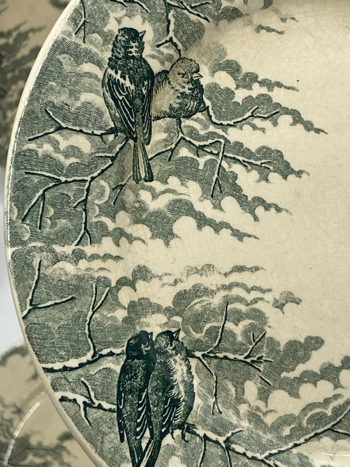 Service of old flat plates, Sarreguemines, birds,