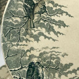 Service of old flat plates, Sarreguemines, birds,