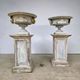 Large pair of 19th-century cast iron basins with vine decoration.