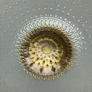 Plats en porcelaine