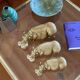 Mid-century Set of 3 ceramic hippos, Zaccagnini Italy 1950s