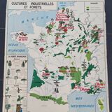 Poster school map Industrial crops & forests The Garonne its tributaries