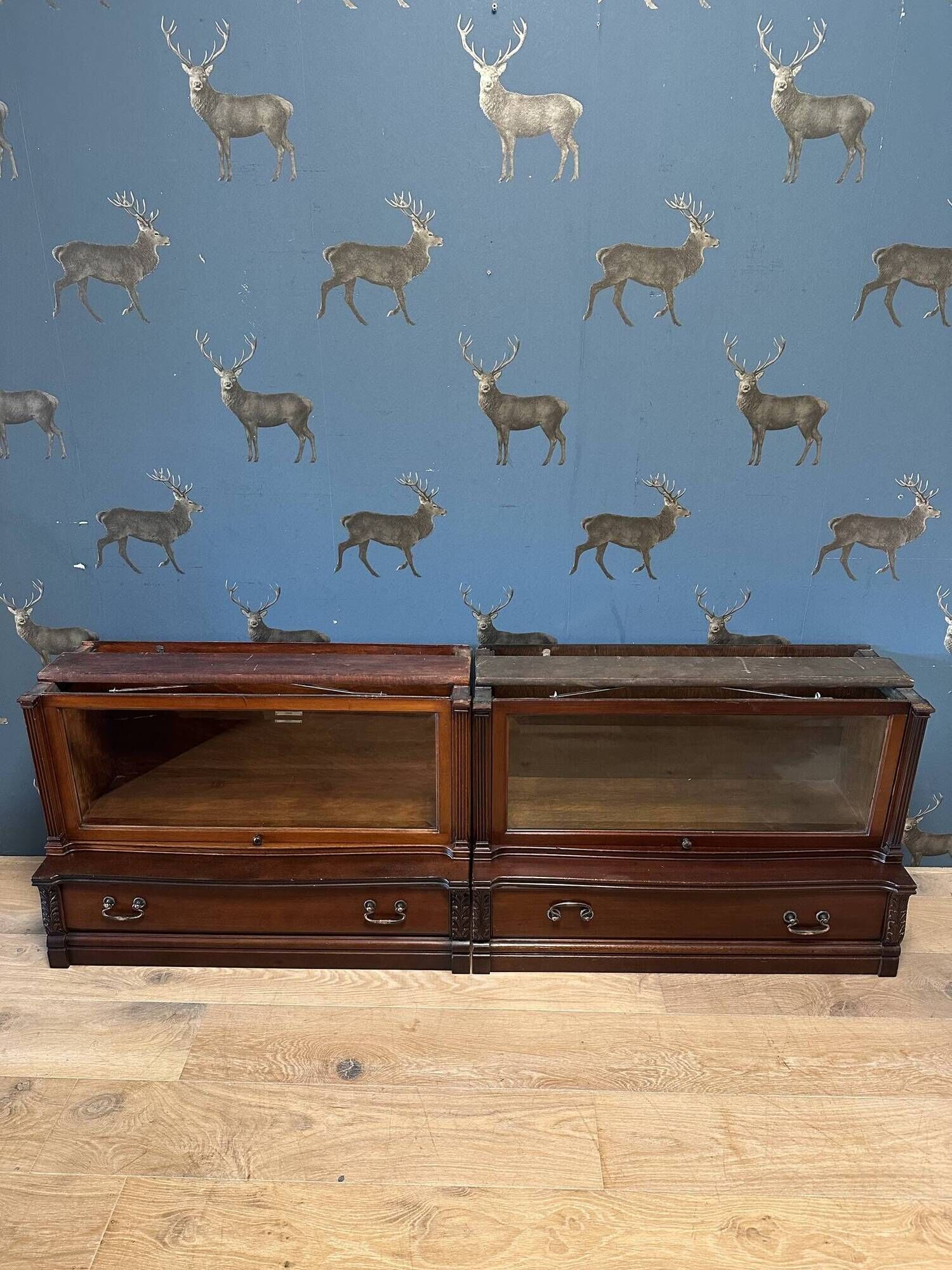 Special Globe Wernicke Bookcase
