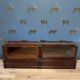 Special Globe Wernicke Bookcase