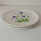 Duo d’assiettes à dessert Gien décor floral bleu et mauve peint à la main