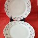 Lot de 2 assiettes plates vintage, Schirnding Bavière