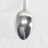 Ercuis – 12 teaspoons in silver metal