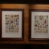 Original lithograph on vegetables