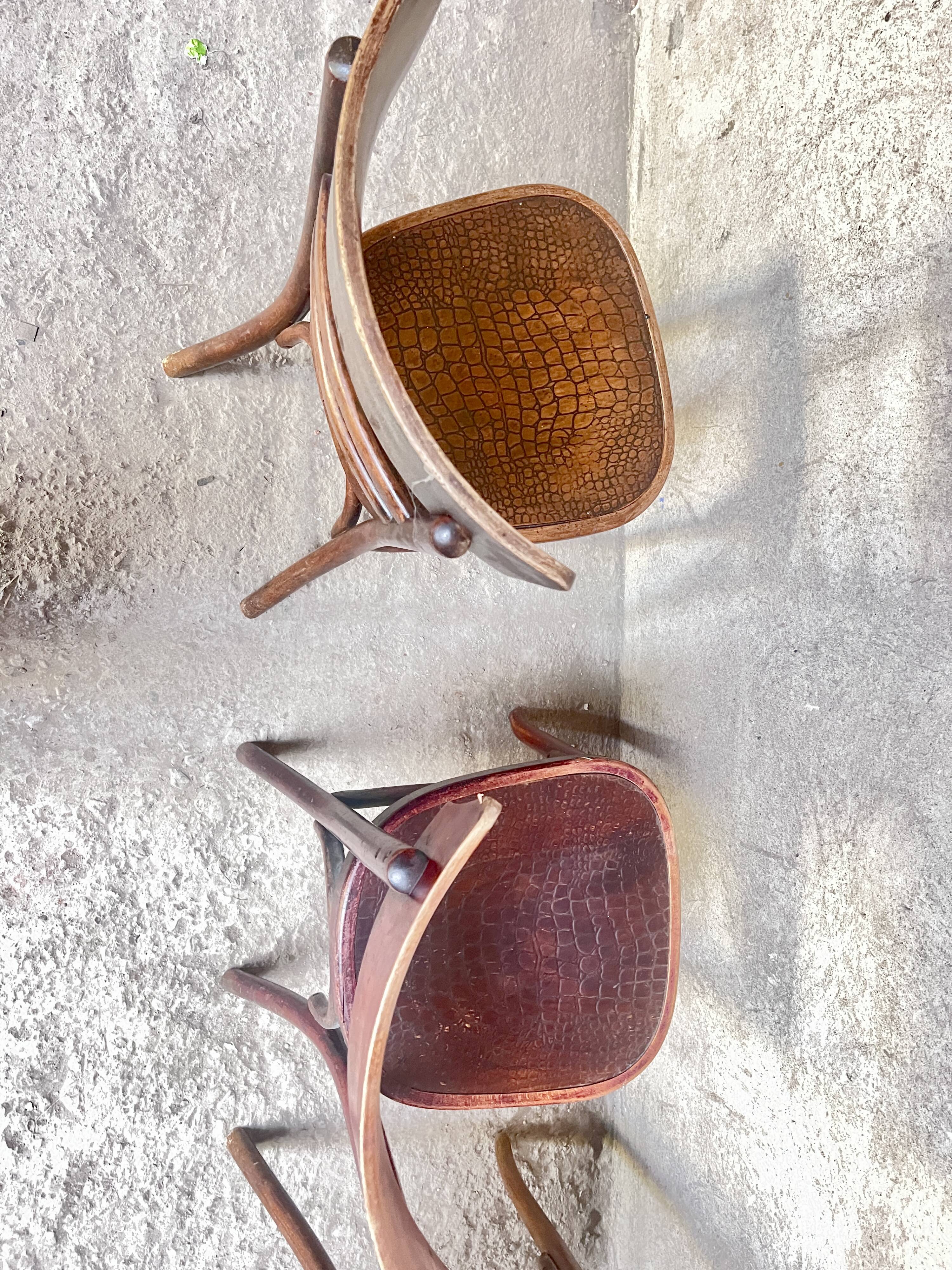 Set of 4 Fischel bistro chairs crocodile model 1930