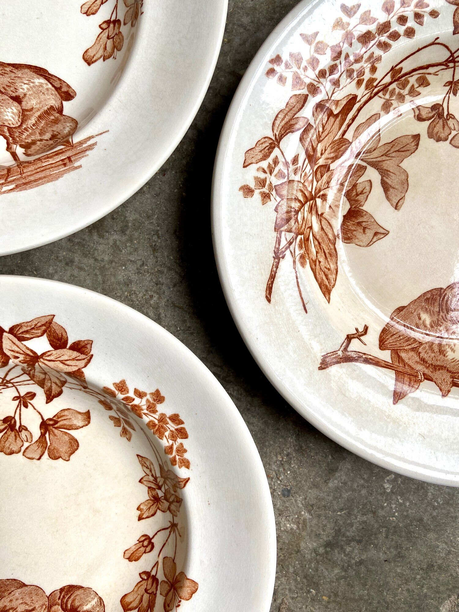 3 Longwy hollow plates in white and brown iron earth