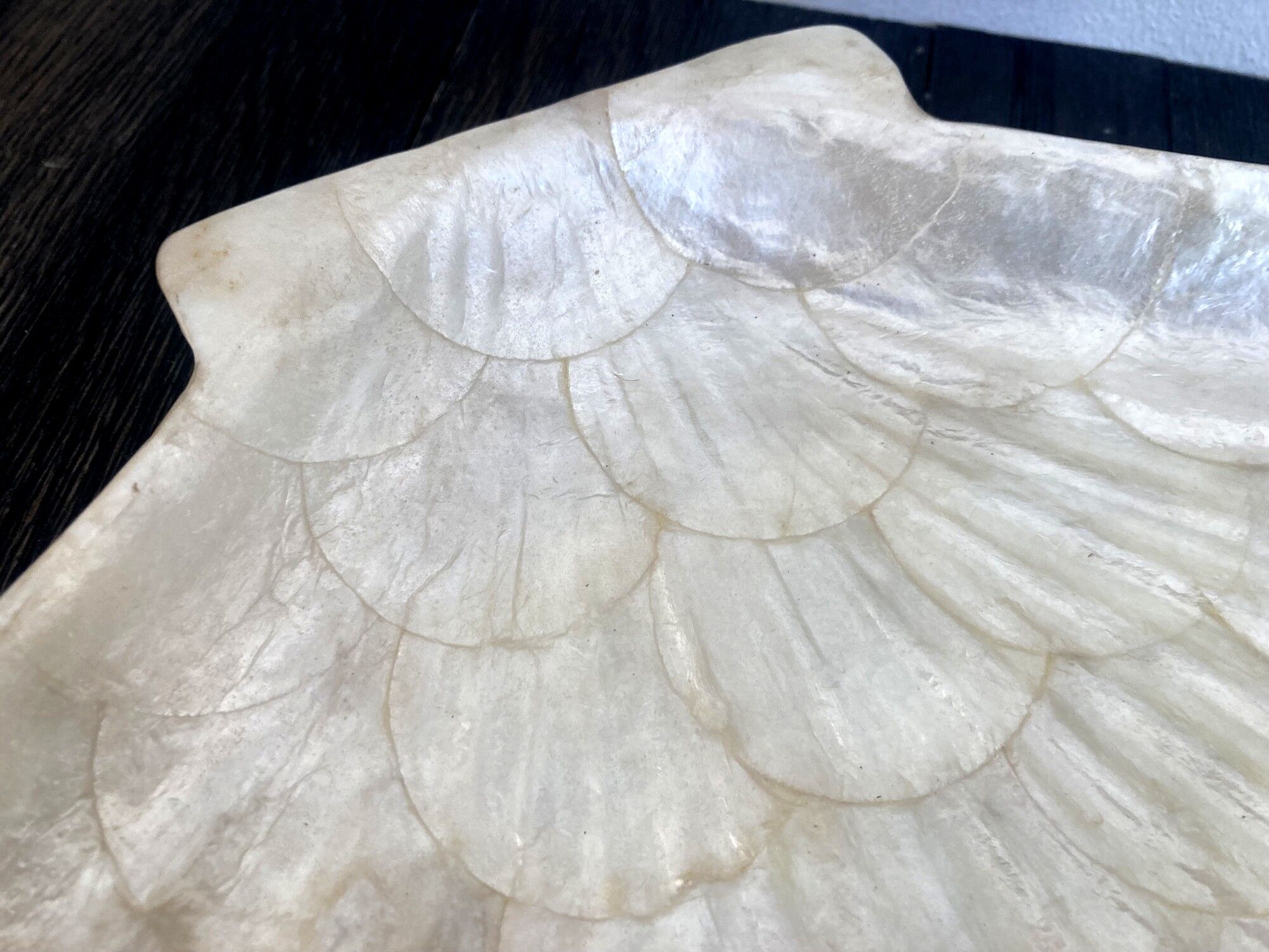 Cup / vacuum vintage pocket in the shape of mother-of-pearl shell