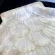 Cup / vacuum vintage pocket in the shape of mother-of-pearl shell