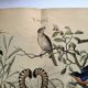 Old engraving from 1886 - Nightingale and birds - Vintage nature lithograph