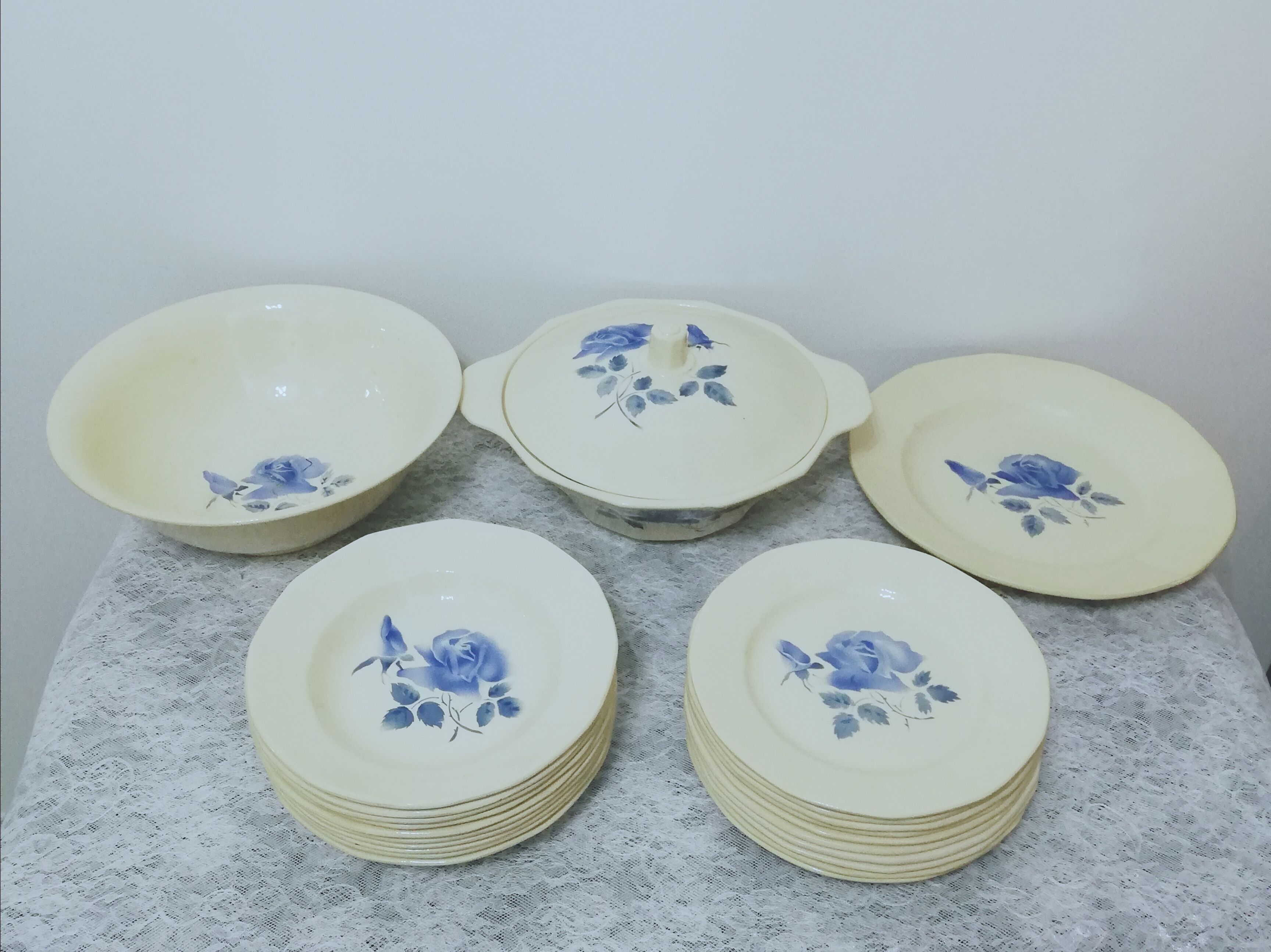 Service 24 pieces in iron earth Digoin Sarreguemines