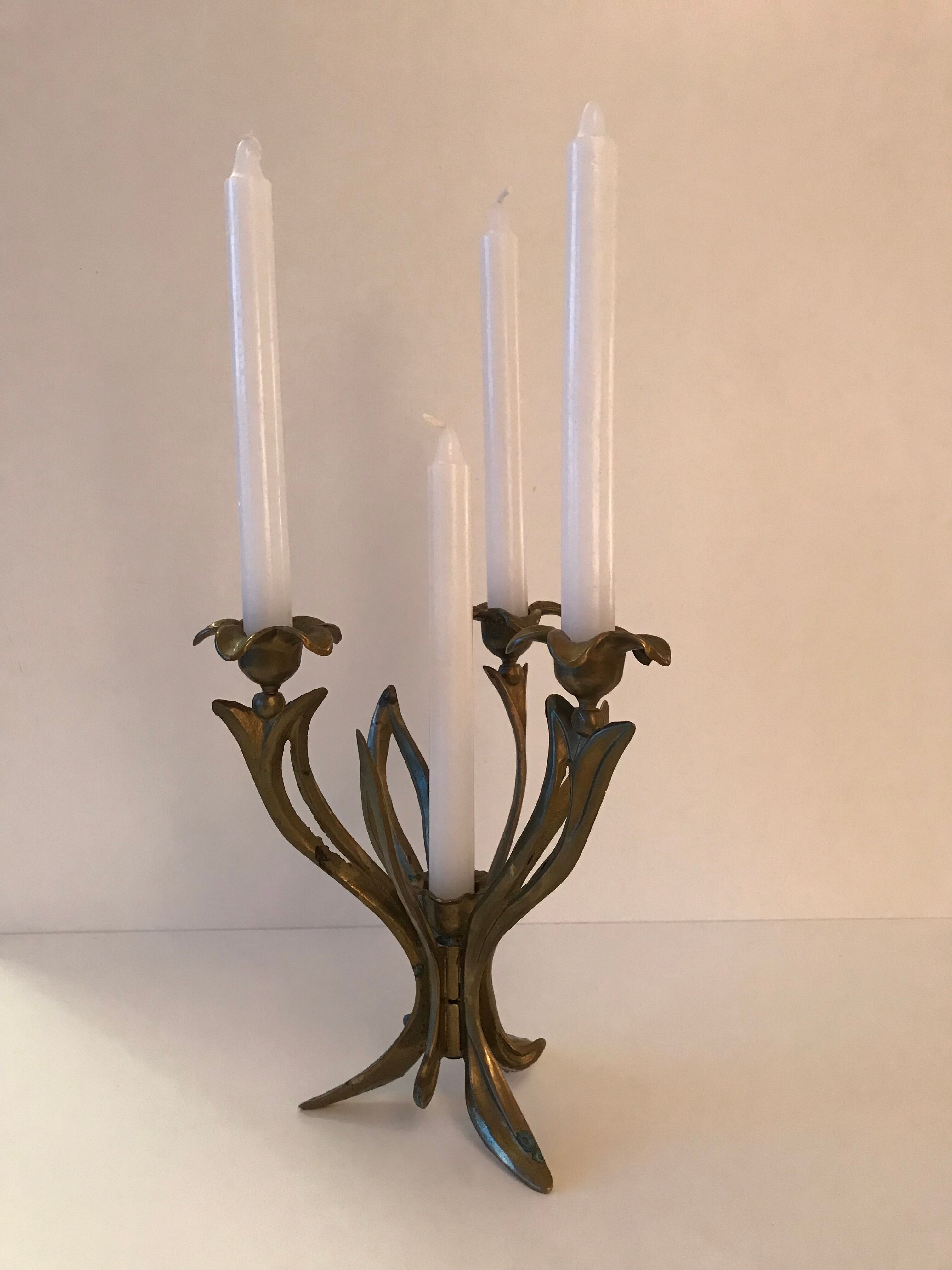 Candlestick lily flowers