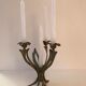 Candlestick lily flowers