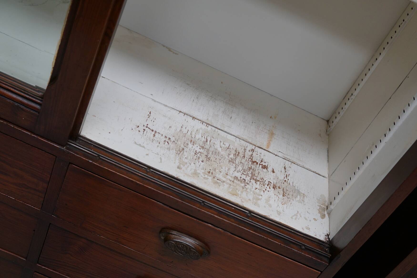 Large Antique Belgian Pitch Pine Apothecary Shop Cabinet / Vitrine, ca 1900