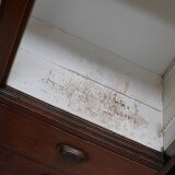 Large Antique Belgian Pitch Pine Apothecary Shop Cabinet / Vitrine, ca 1900