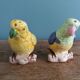 Salt shaker zoomorphic parakeet bird