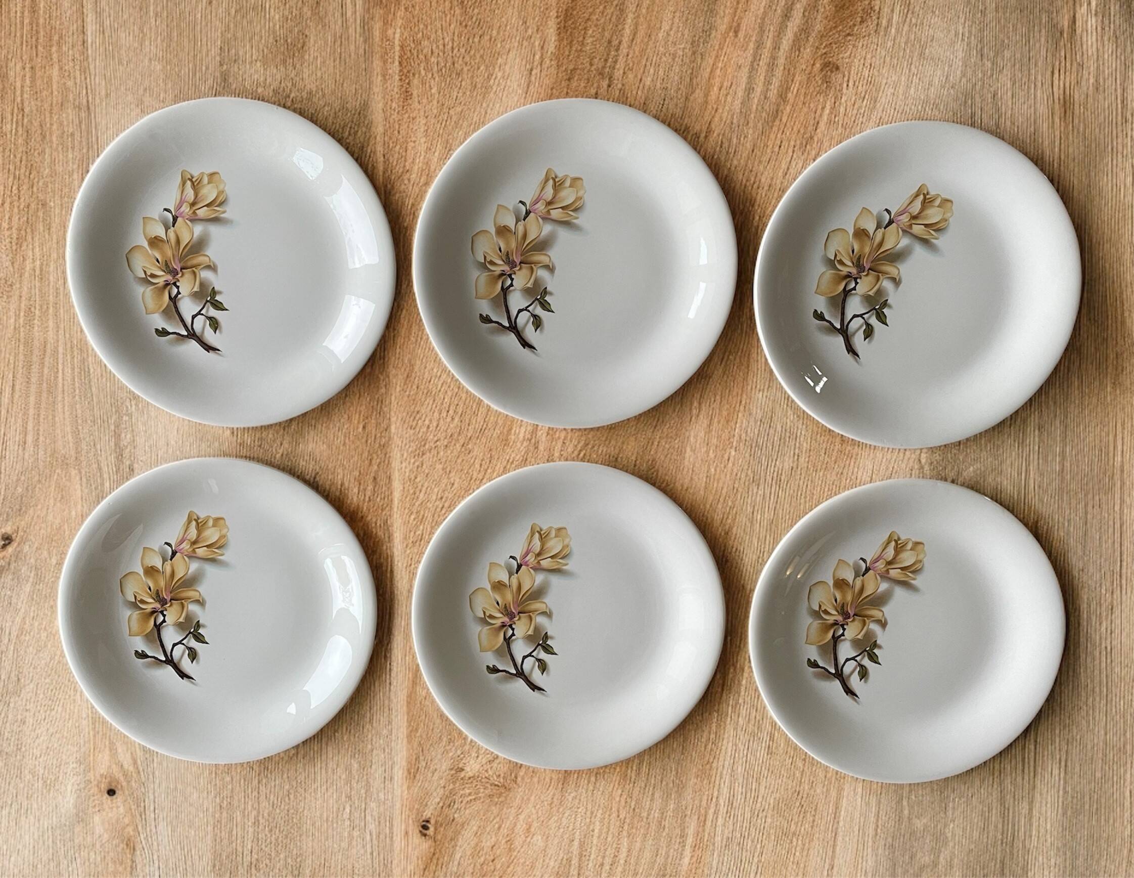 6 antique flat plates in Saint-Amand earthenware (Nord)