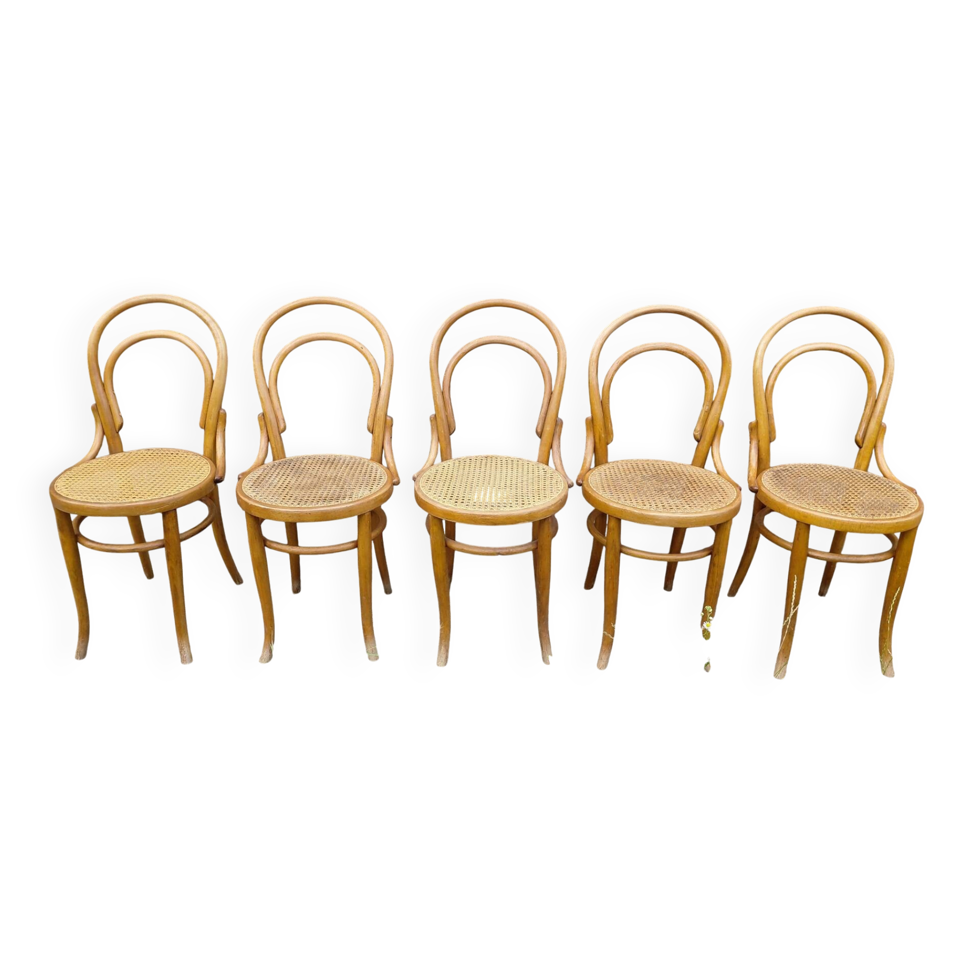 chaises Thonet à l'unité