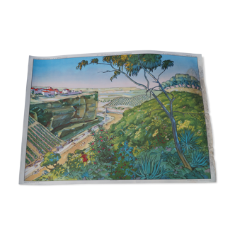 Affiche pédagogique végétation