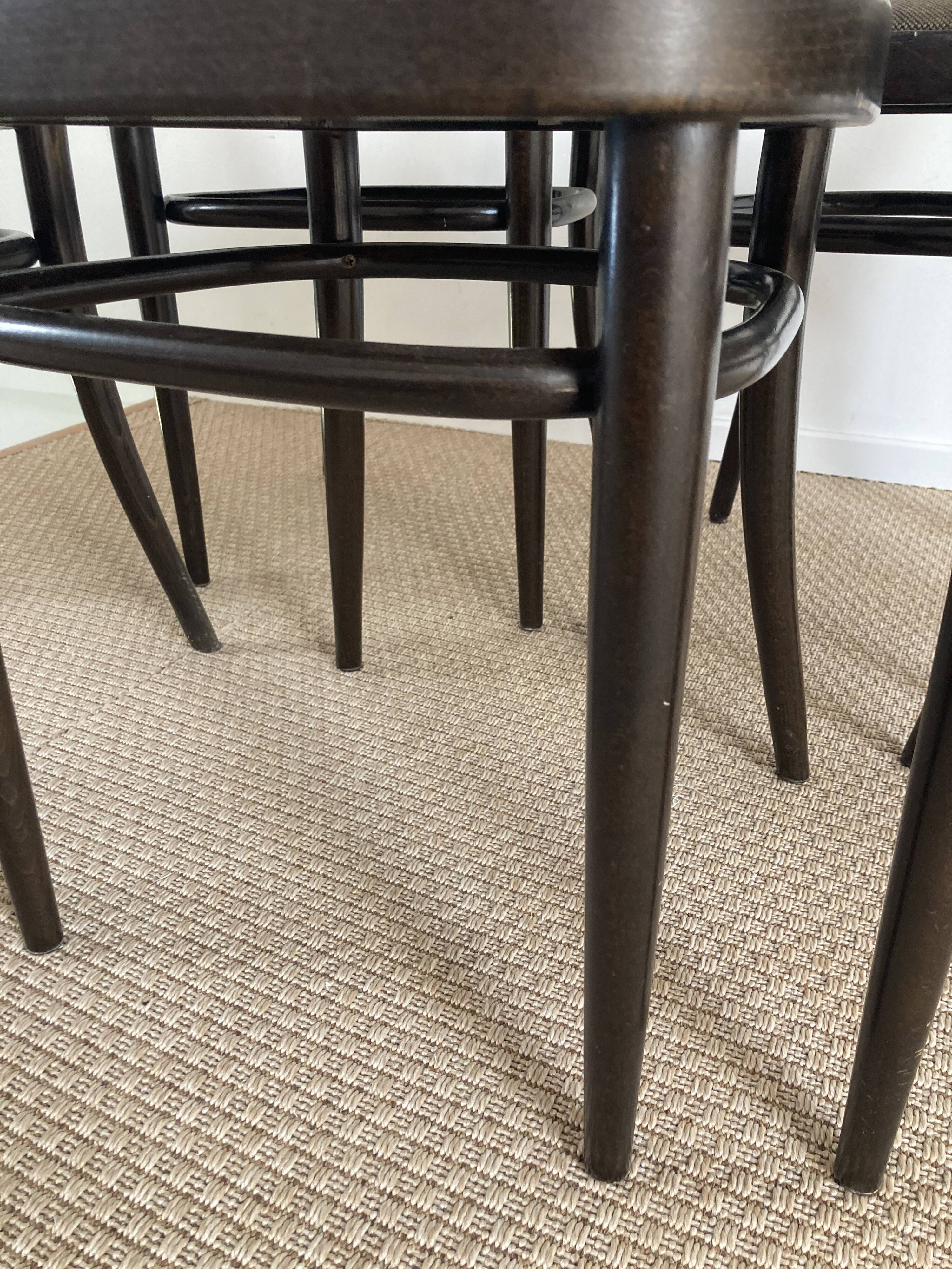 Set of 5 chairs Thonet year 70