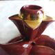 burgundy and gold candle holders